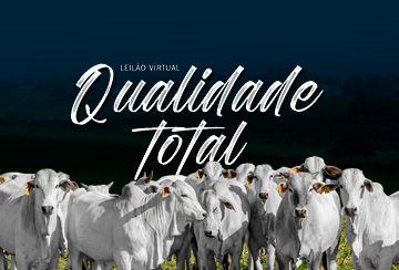 LEILÃO VIRTUAL QUALIDADE TOTAL